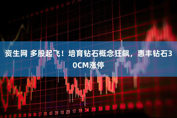 资生网 多股起飞！培育钻石概念狂飙，惠丰钻石30CM涨停