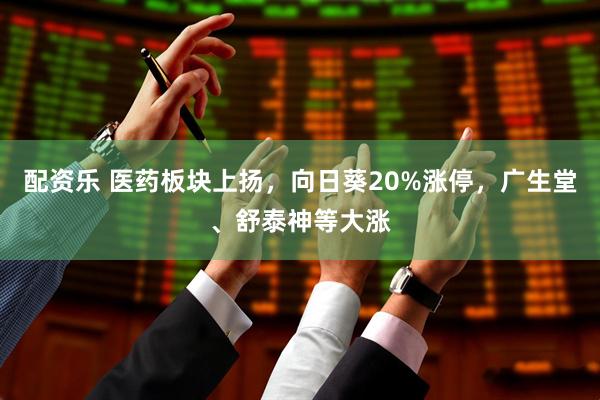 配资乐 医药板块上扬，向日葵20%涨停，广生堂、舒泰神等大涨