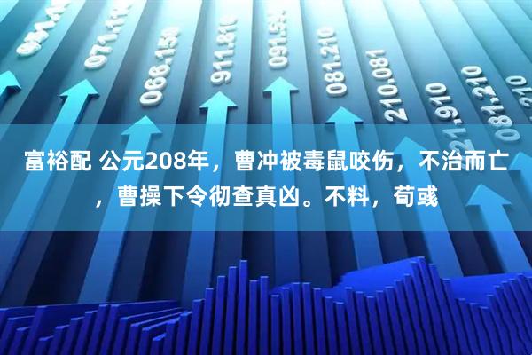 富裕配 公元208年，曹冲被毒鼠咬伤，不治而亡，曹操下令彻查真凶。不料，荀彧