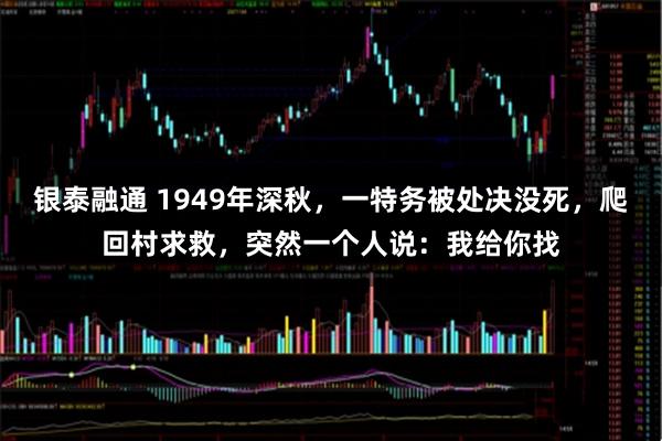 银泰融通 1949年深秋，一特务被处决没死，爬回村求救，突然一个人说：我给你找
